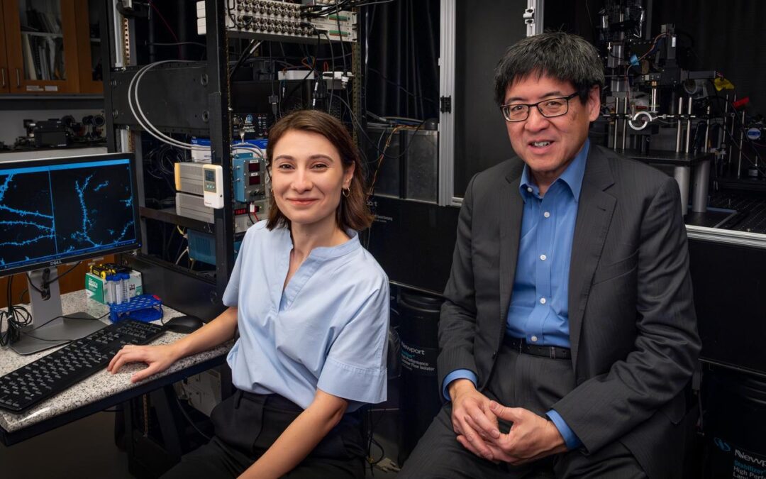 Princeton researchers awarded NJ ACTS grant to study dendritic plasticity in neuropsychiatric disorders.