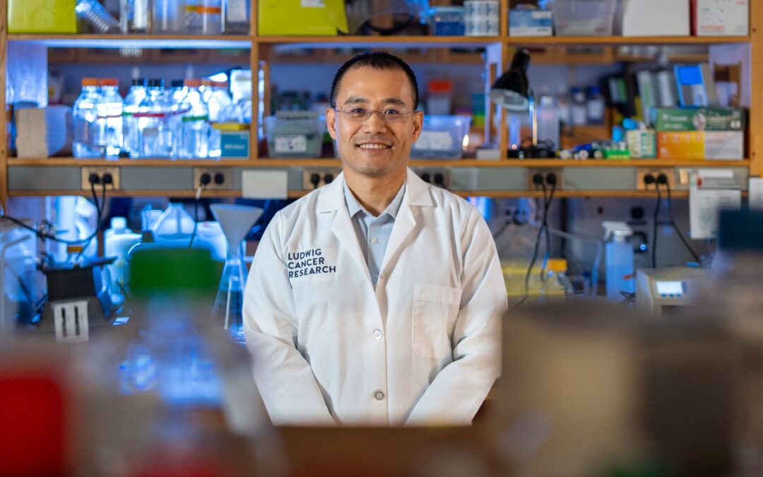 Yibin Kang’s team identifies new path to potential cancer treatments.