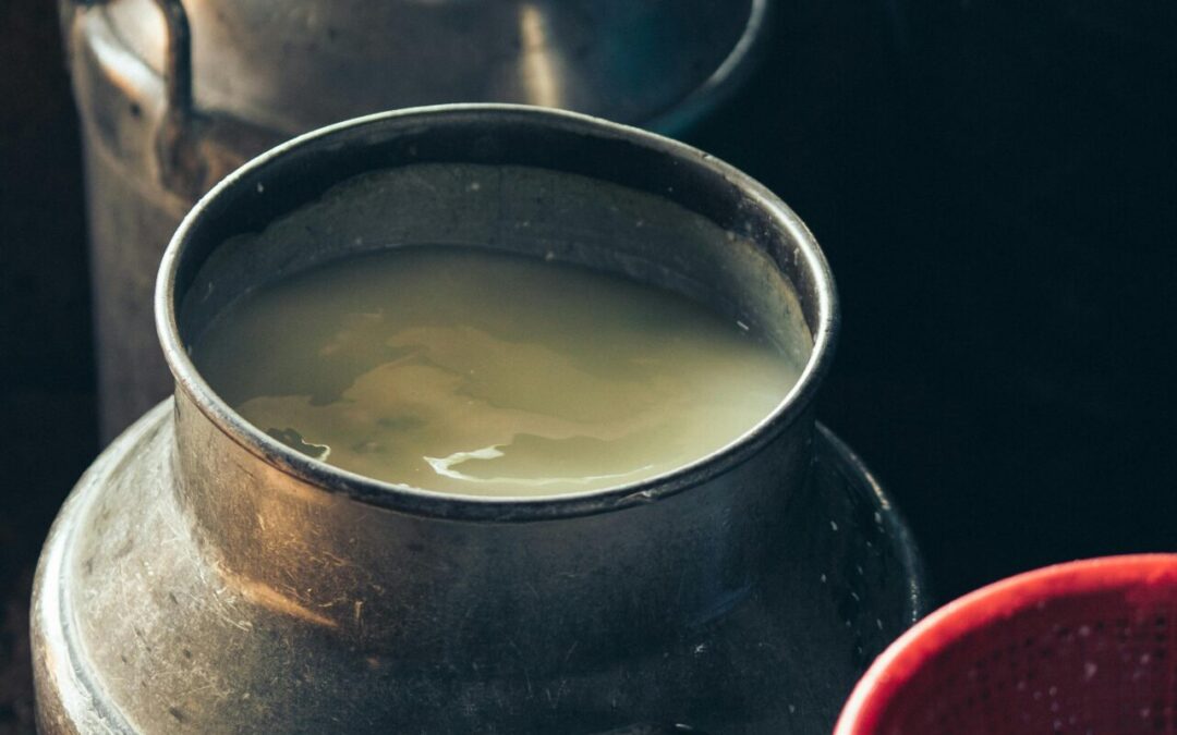 Push for raw milk intensifies across the US, despite illness outbreaks and scientists’ warnings.