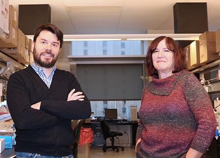 Missing Protein in Brain Causes Behaviors Mirroring Autism